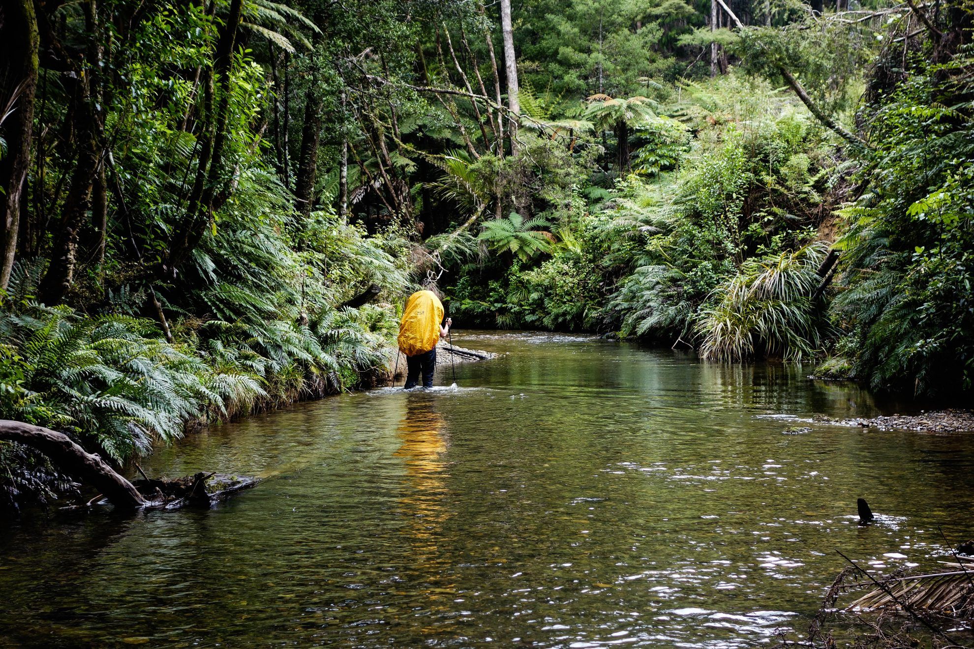 New Zealand Priority Occupations List